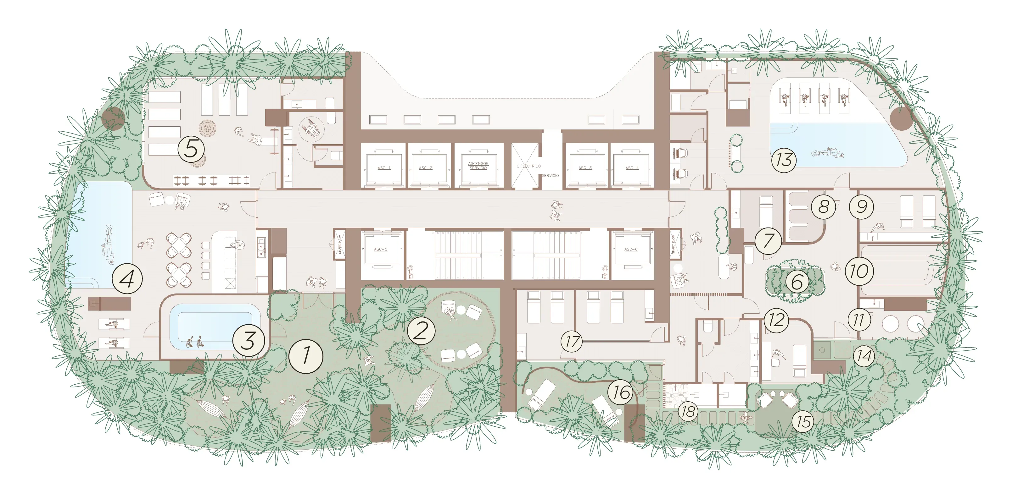 Sensa Longevity Spa floor plan